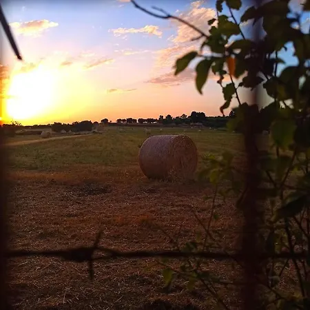 La Nostra Casetta Apartment