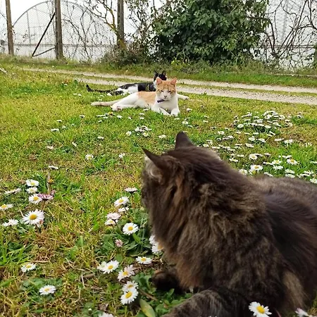 Apartment La Nostra Casetta