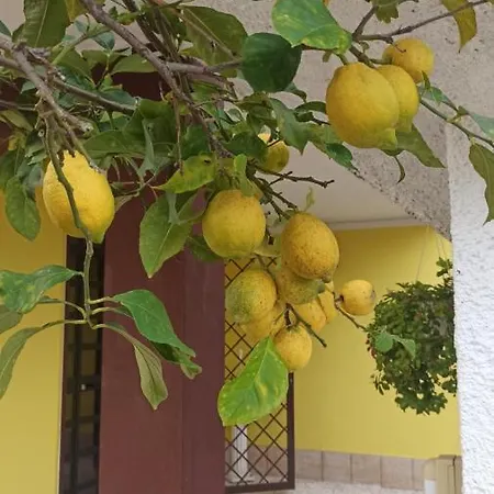 Apartment La Nostra Casetta Albano Laziale