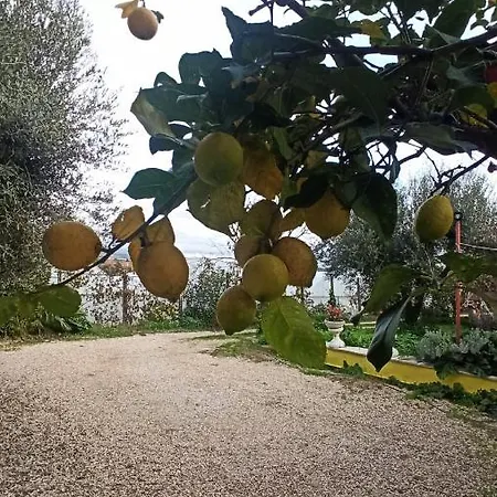 La Nostra Casetta Albano Laziale